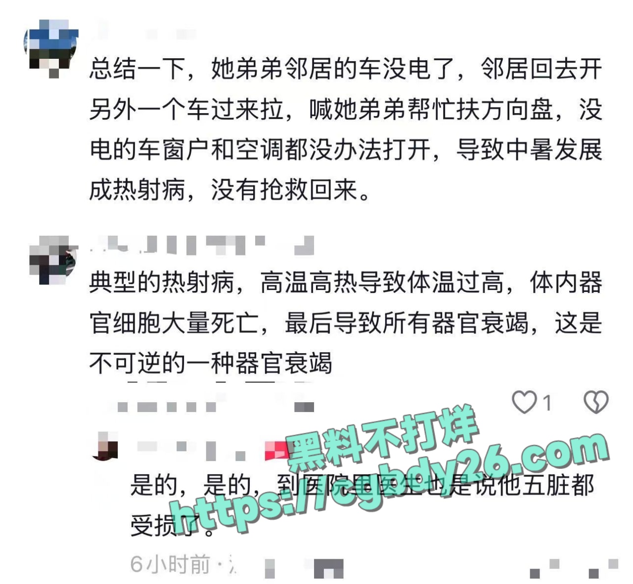 新能源车没电窗户打不开被热死1