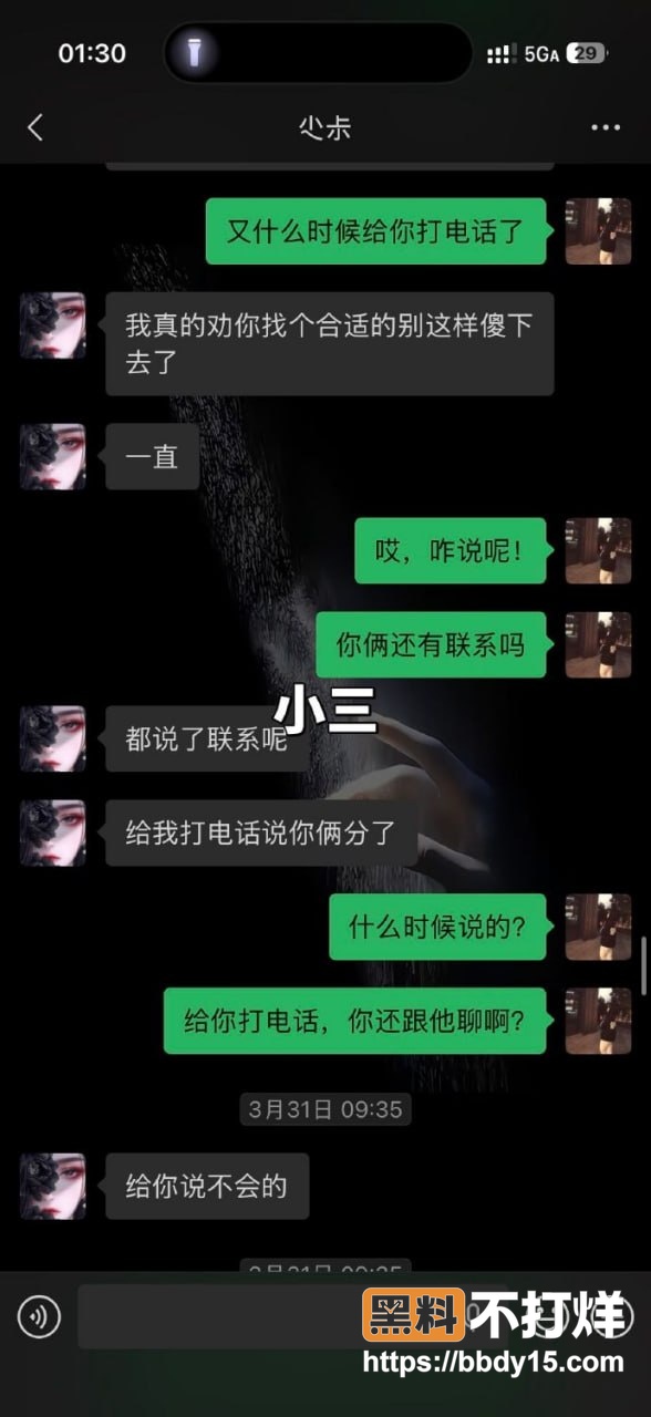 渣男与小三薛小芳9