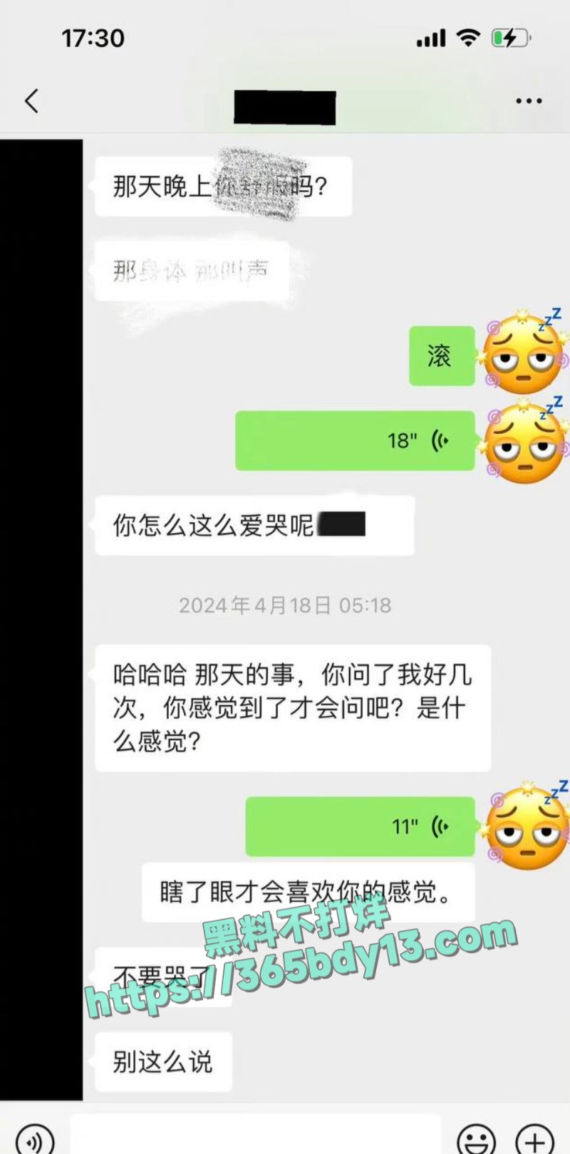 女网友与魏大勋聊天记录7