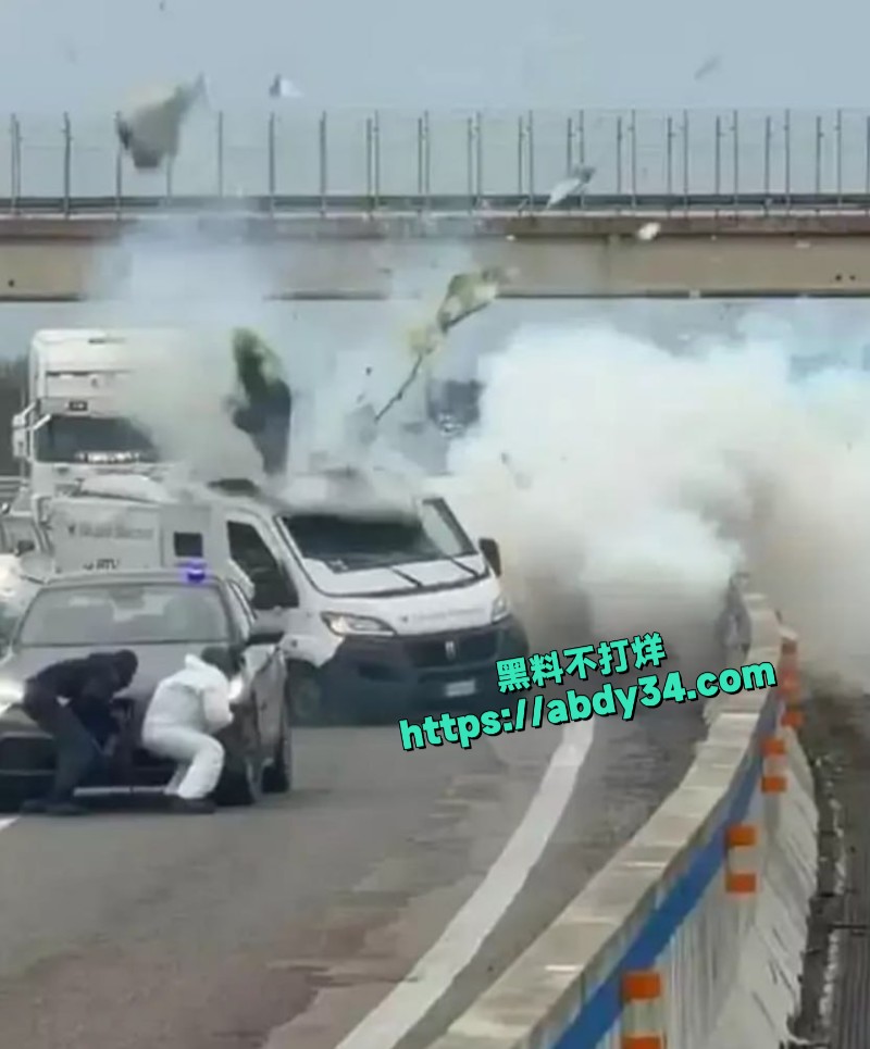 意大利抢劫运钞车2