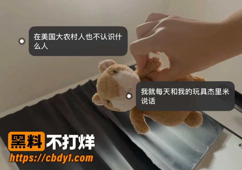 王龙11