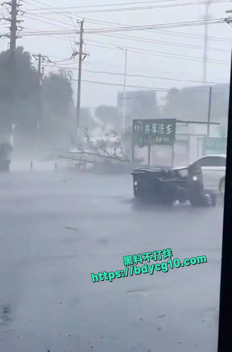 超级台风韦帕登录广东所到之处一片狼藉3