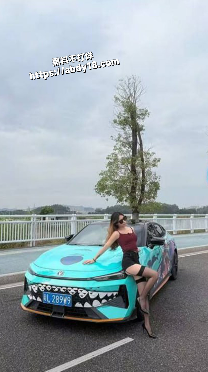 网传uinv女车主4