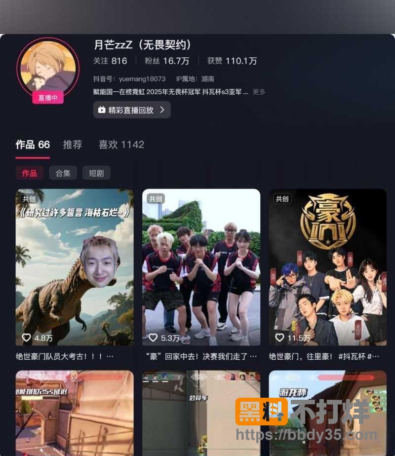 照片4