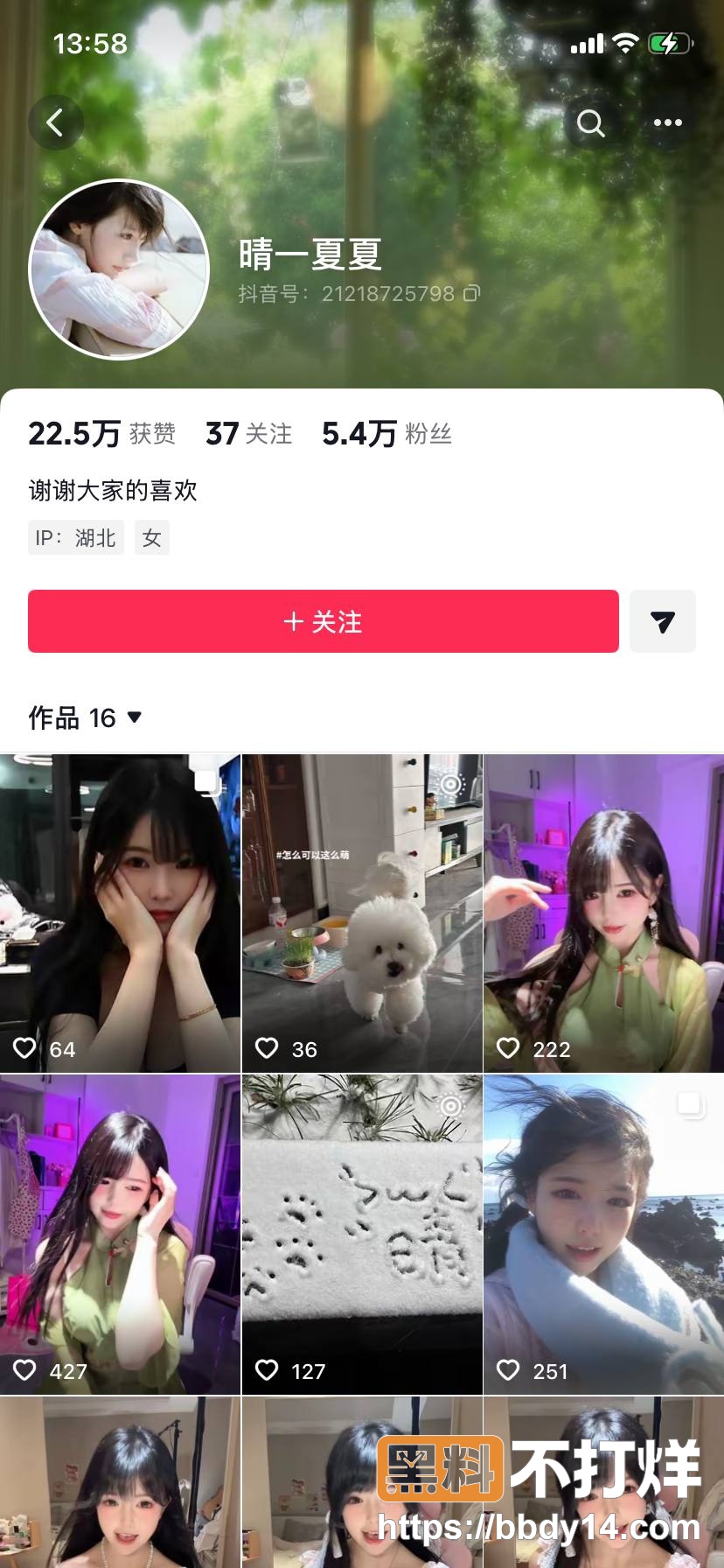 晴一夏夏1