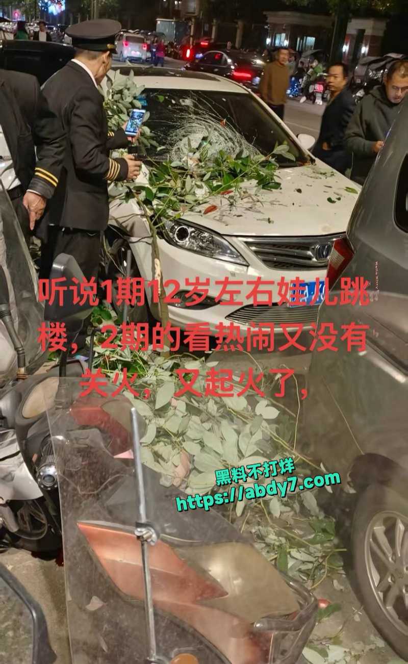 四川南充营山县天悦府男孩跳楼身亡 4