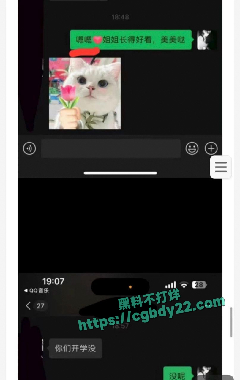 抖音网红何以解忧不会刀妹（实锤）10