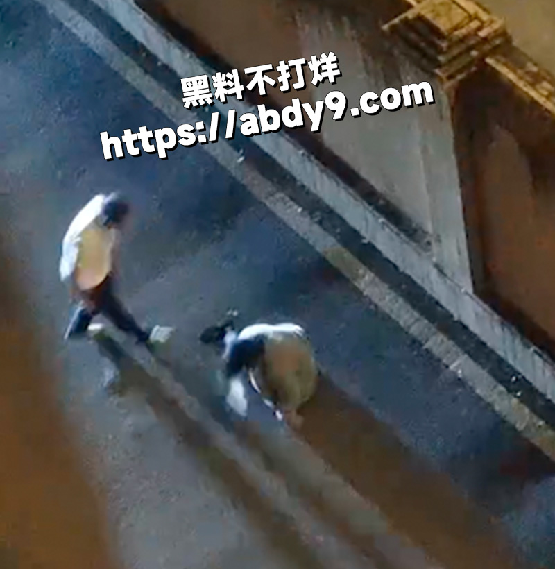 出差三天3