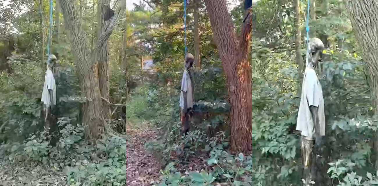 四明山上惊现干尸吊在树上 全身只剩骨头完全空了 现场画面让人毛骨悚然