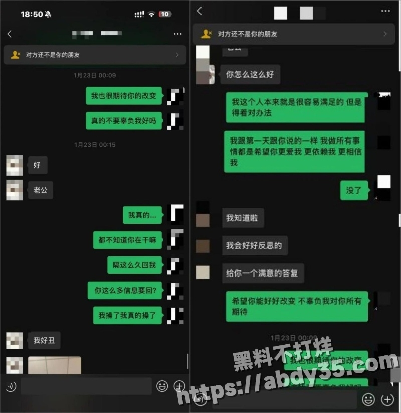 澳洲留学生陈某某脚踏两船捞金实录30