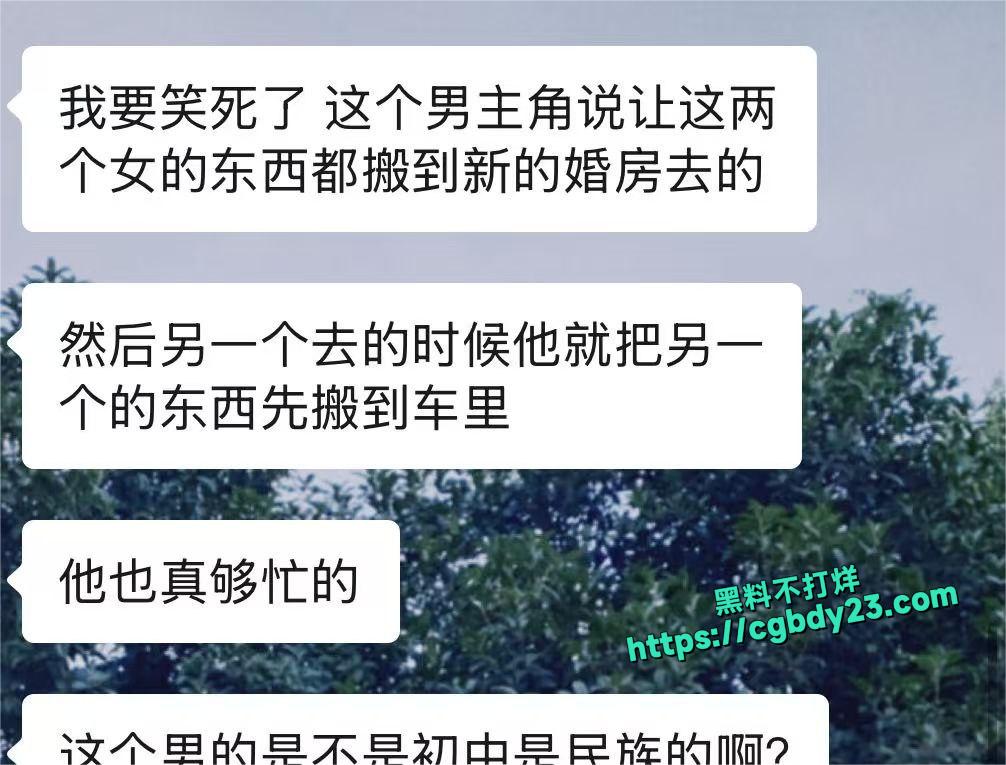脚踏两条船2