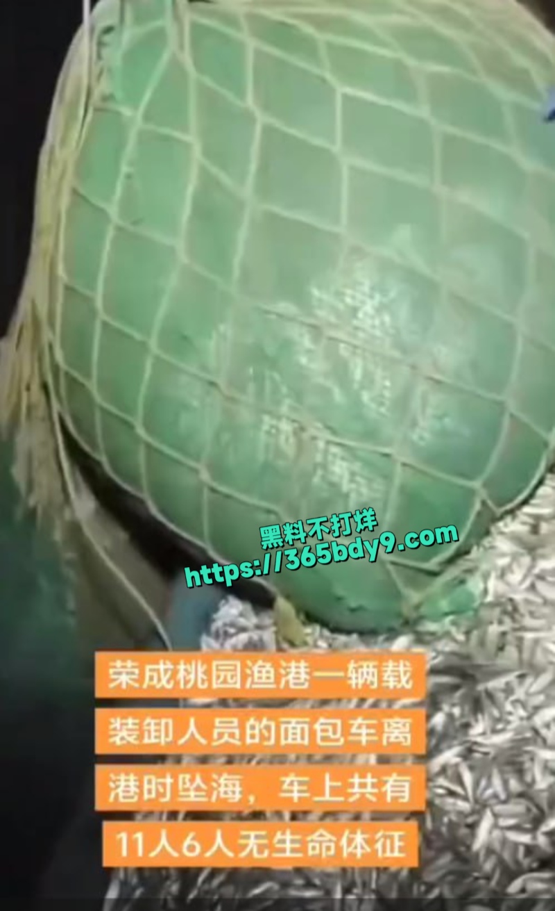 山东荣成市桃园渔港大事故4