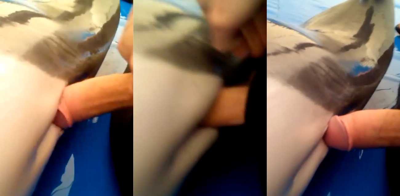 世界之大无奇不有人兽新闻不少 和海豚干的估计古今就此一人 水族馆实习生强奸三个海豚