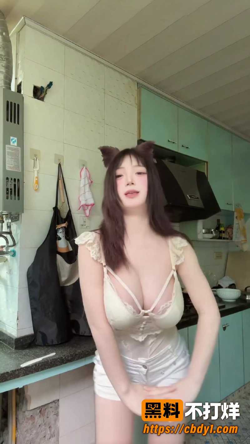 猫猫忠仆 11