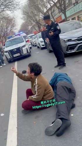 畜生为了小三 往死里打自己的父母3