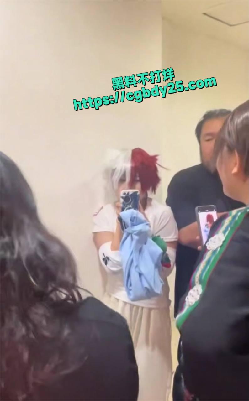 我的英雄学院2