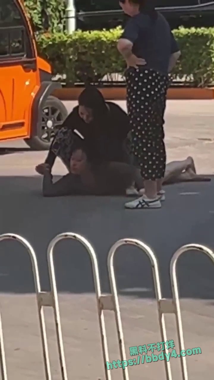 愤怒正妻当街暴打小三07