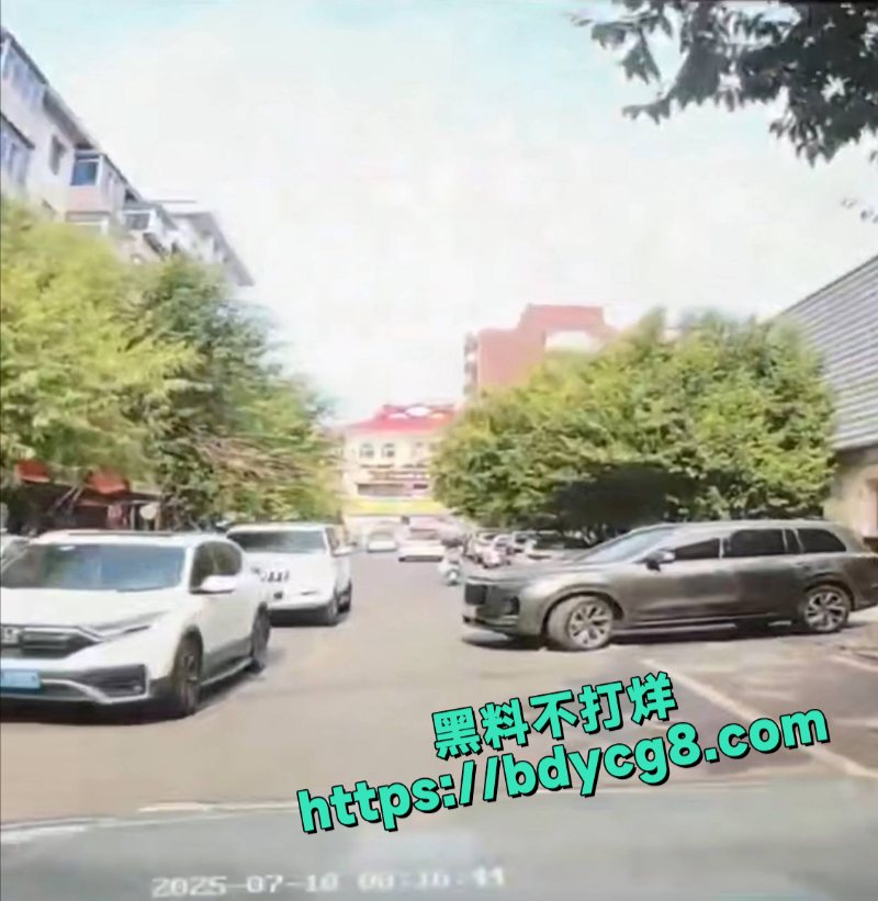 辽宁沈阳一街道惊现当街猥亵事件5