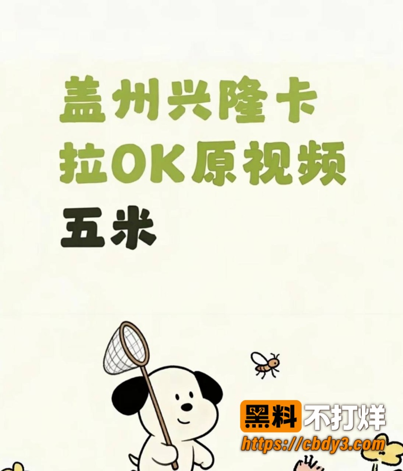 盖州兴隆KTV事件视频05