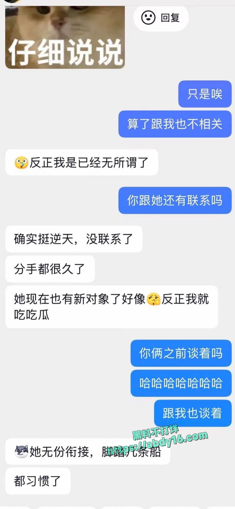 小伶宝和绿毛龟撕逼 12