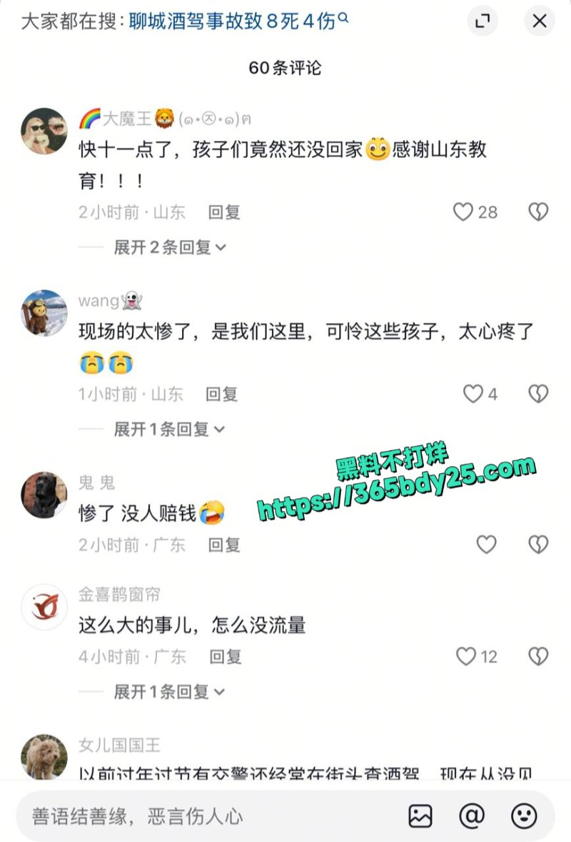 山东聊城酒驾重大事故12