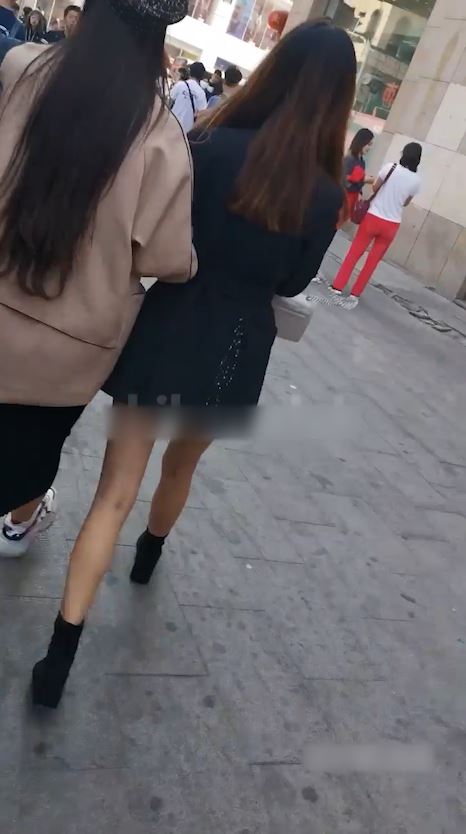yy053005 5