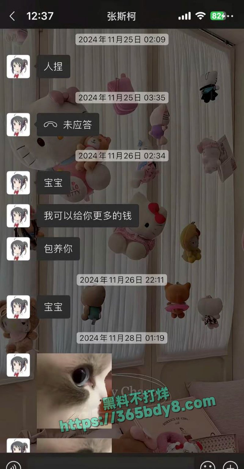 张斯柯出轨嫖娼 33