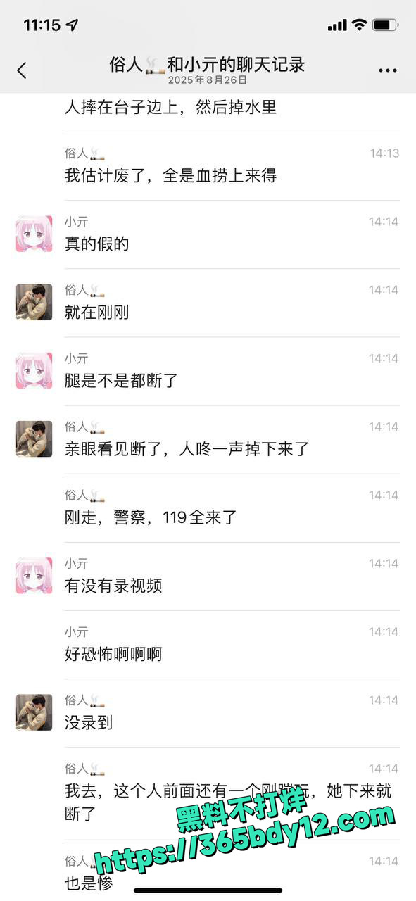 宜昌蹦极绳断裂游客直坠江中 4