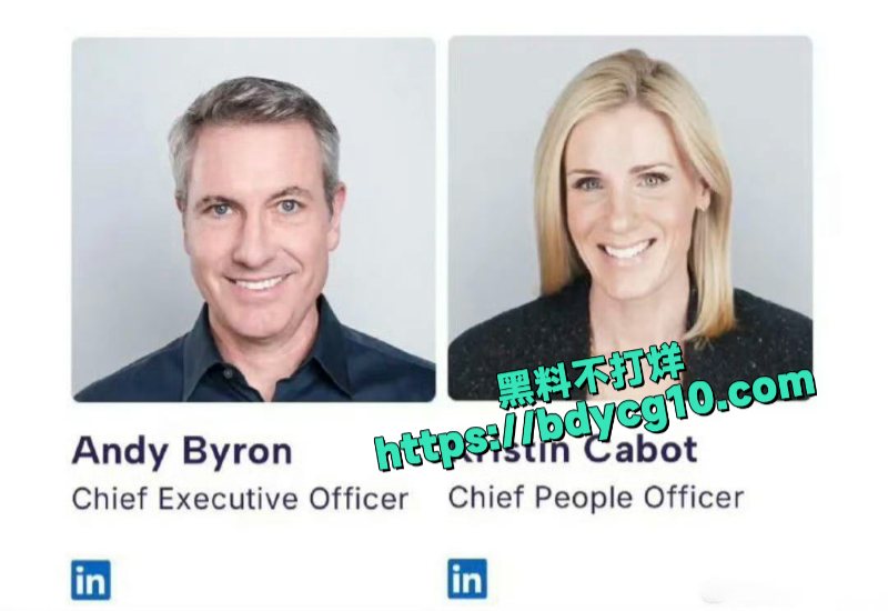 美国知名IT公司CEO出轨部门HR现行被演唱会摄像头拍到5