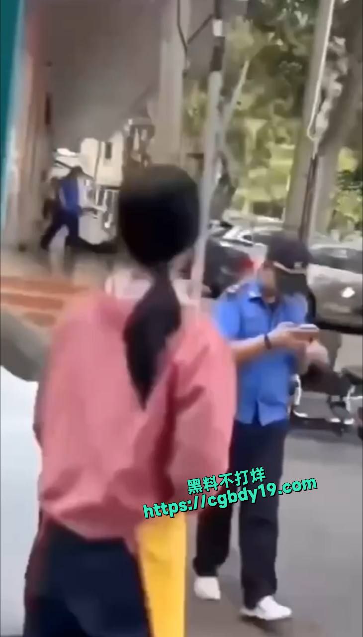 广东省湛江市霞山区爱国街道办金晓华副书记被访民用锄头砸头场毙命3