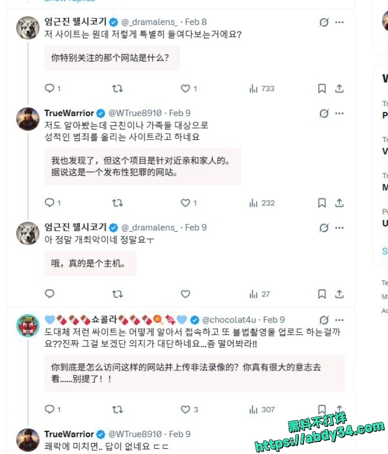 韩媒新曝光非法色情网站7