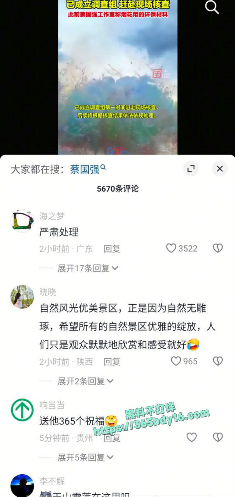 蔡国强升龙烟花秀 4