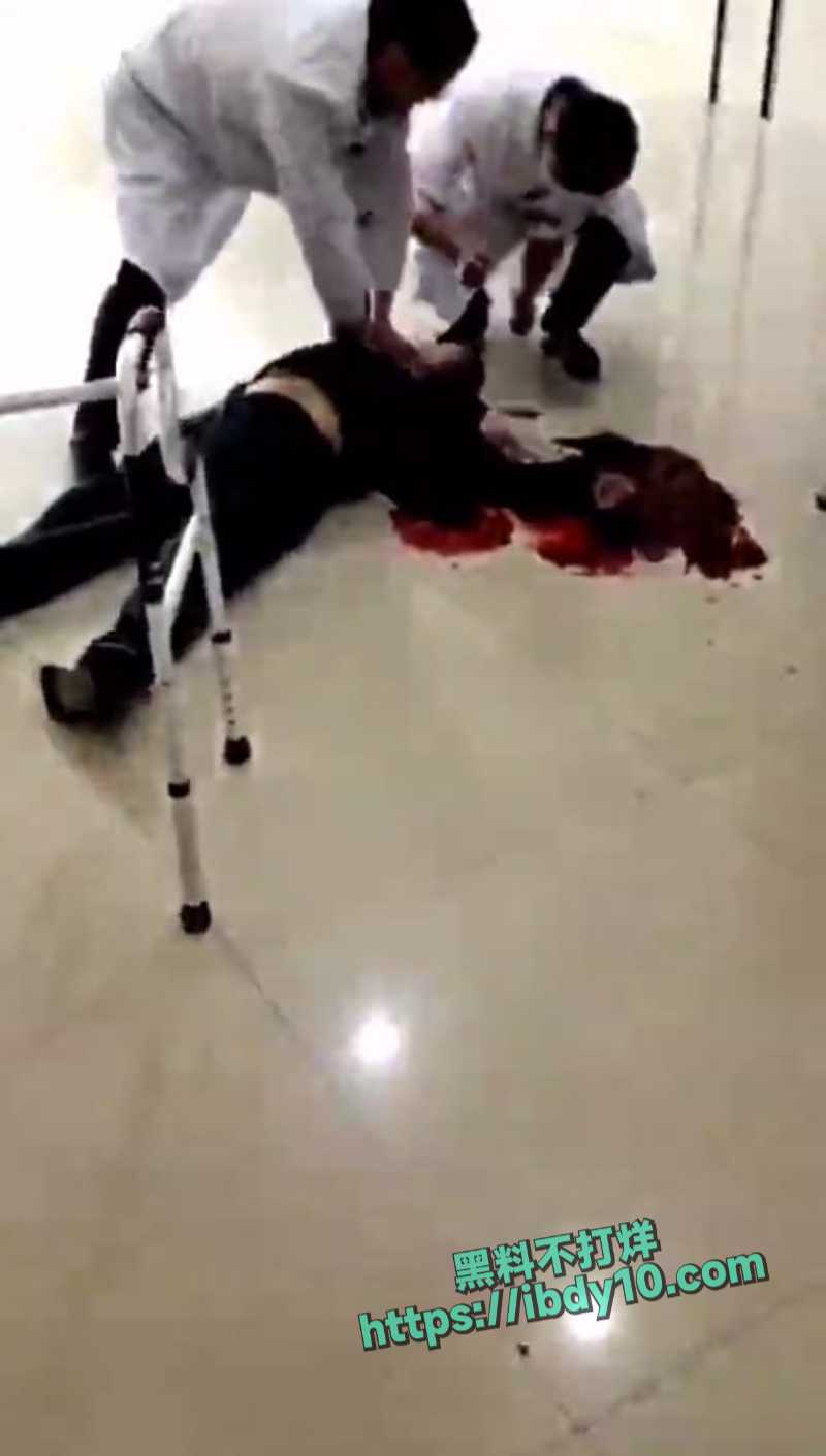 photo_6_2024-05-07_16-08-52.jpg