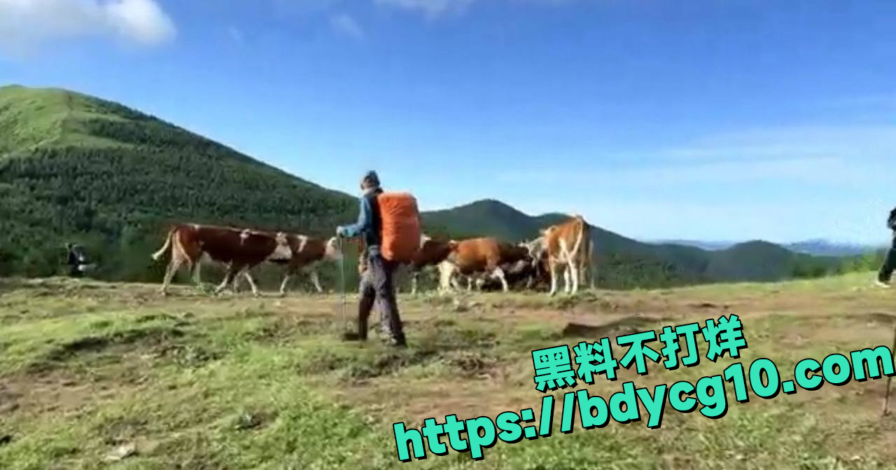 五台山景区游客没素质作死记1