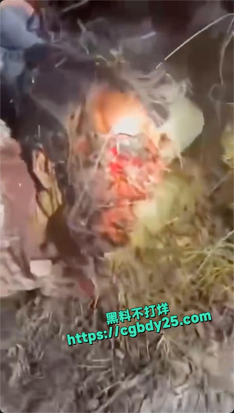 抖音上传的很火的去西藏旅游被熊吃了14