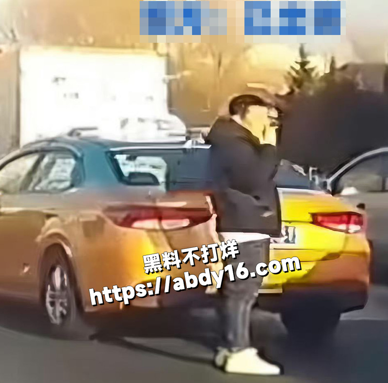 黑网约车撞人后逃逸3