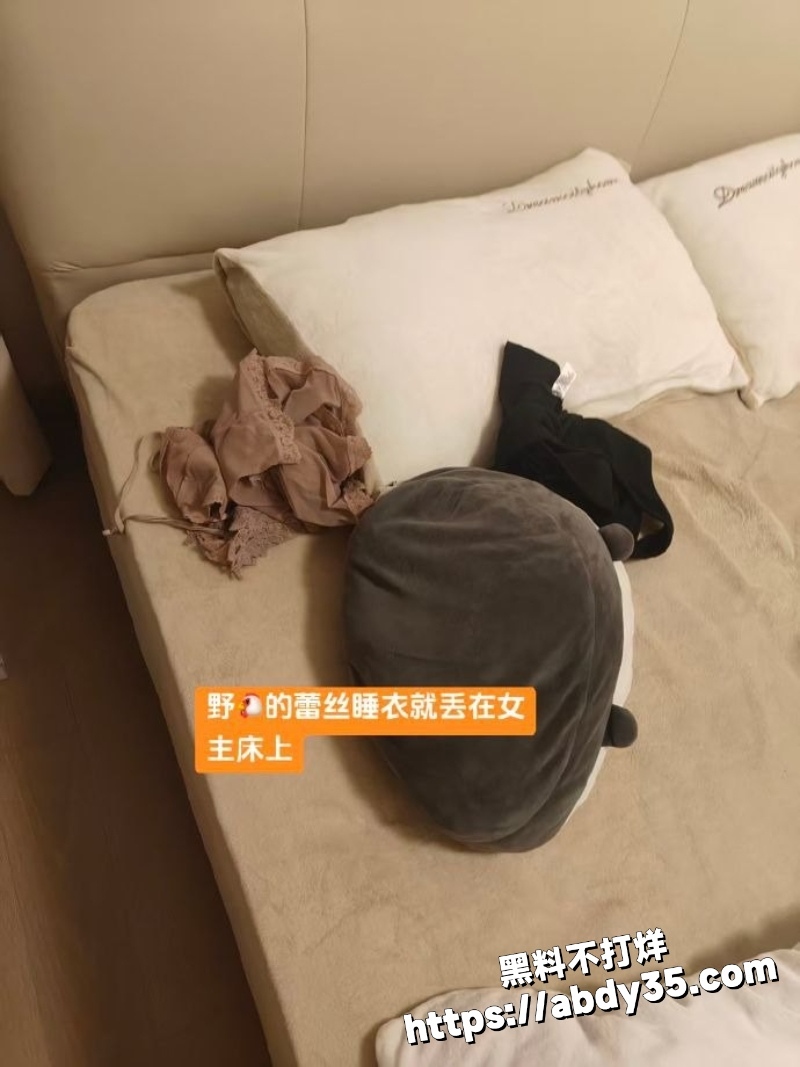 渣男和小三做爱视频6