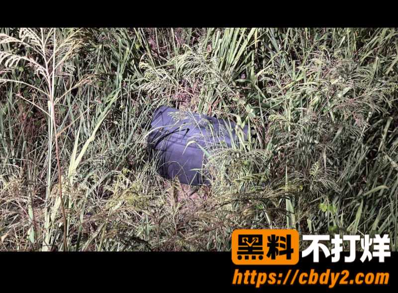 46岁澳男带泰国女孩进公寓杀害13