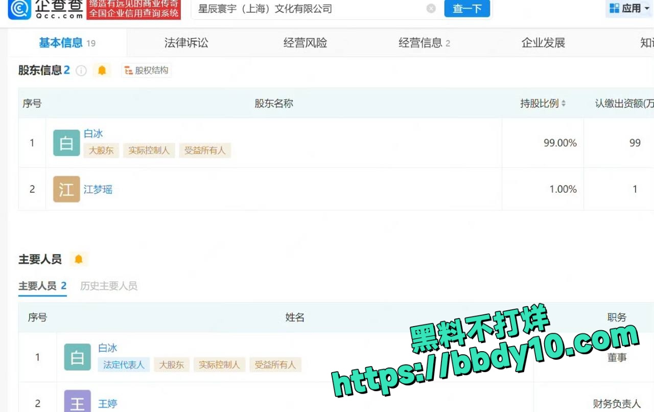 白冰资料6