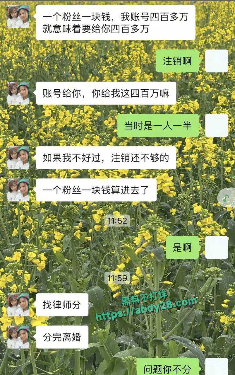 抖音网红小英曝老公上拉如出轨表妹 11