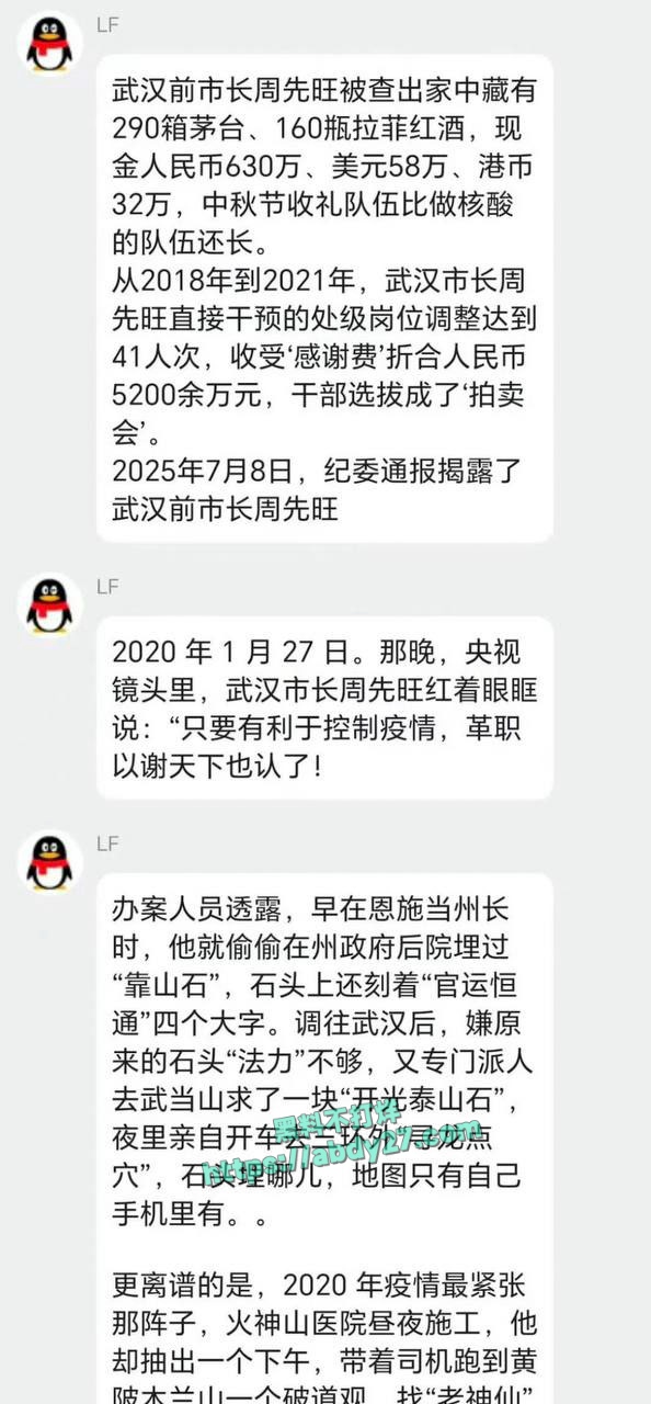 武汉市前市长周先旺落马 1