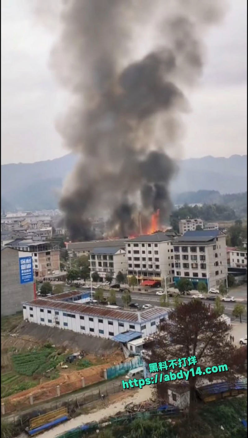 湖南株洲炎陵县工业园突发大火 7