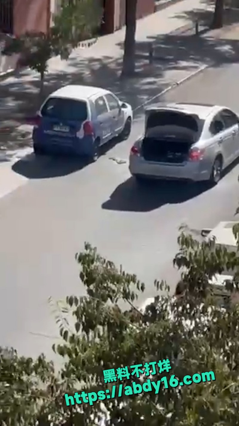 中国友好战略伙伴 21