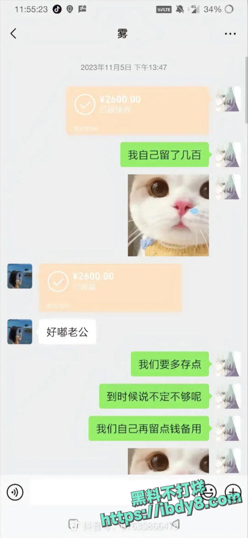 43.jpg