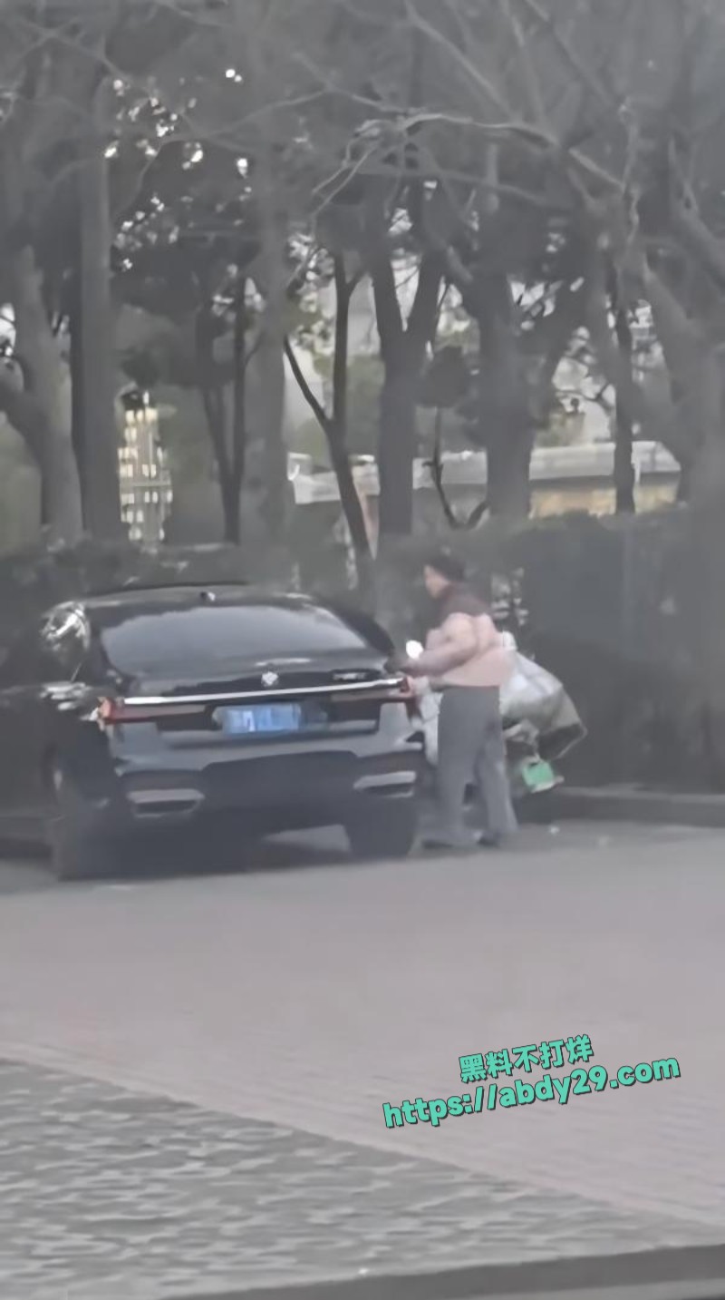 有钱人嫖娼直接玩车震4