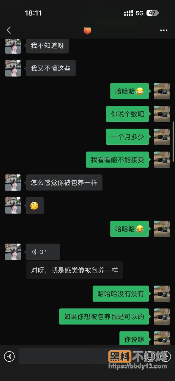 聊天记录4