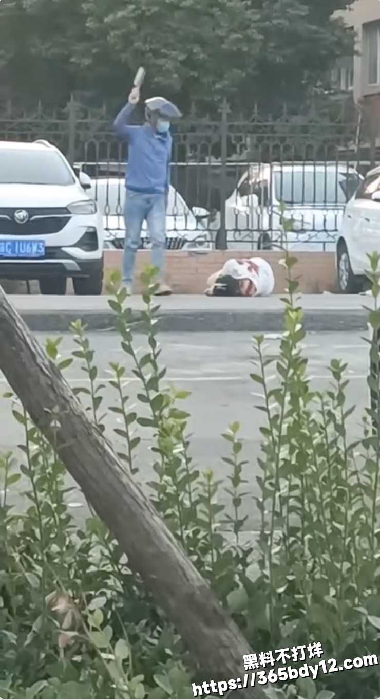玫瑰家园5
