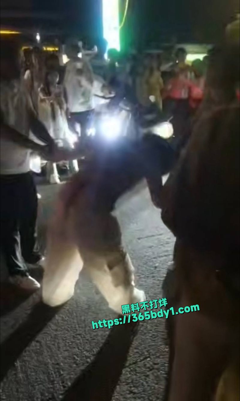 河南泌阳大润发女子殴打小三1