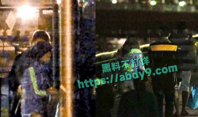 香港男星苏永康出轨嫩模被拍 10