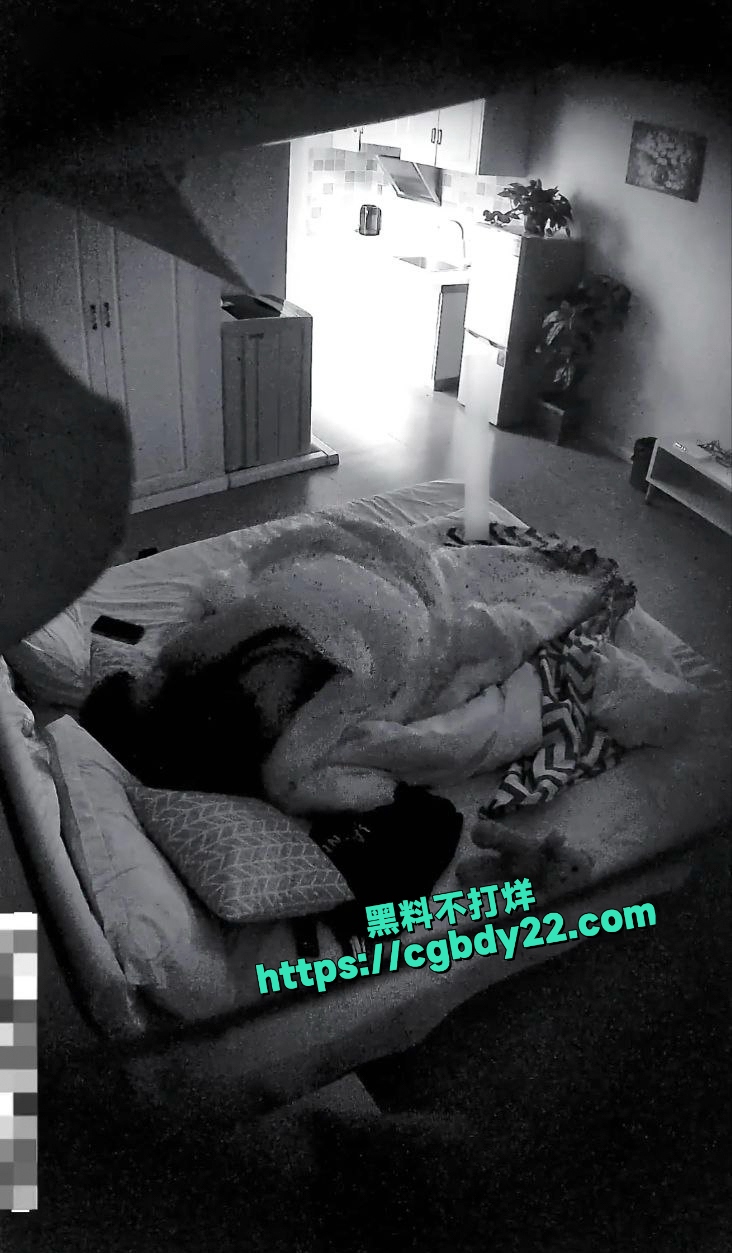 明星级别的女神和帅气多金男友啪啪6